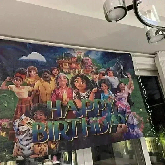 Disney's Encanto Mirabel Birthday Party Banner, Sign, Costume size 8-10 - Picture 3 of 4